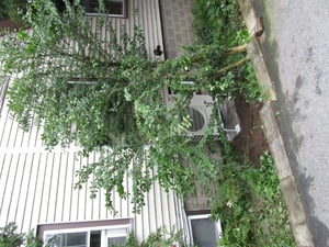 Outdoor heat pump condenser for Belmont, MA colonial