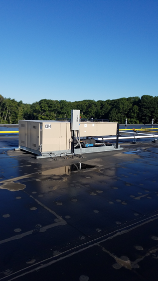 Outdoor Bohn unit